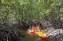 Koh Yao Yai Mangrove Forest Kayaking and Local Village with Lunch