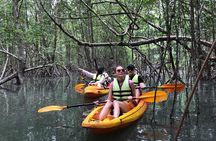 Koh Yao Yai Mangrove Forest Kayaking and Local Village with Lunch