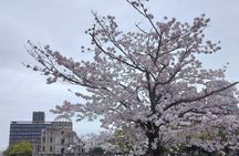 Hiroshima City Center Pickup: Miyajima & Peace Park Tour with car