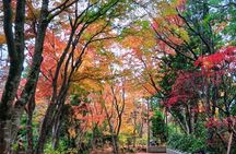 Tokyo: Mt. Takao Tour with Ramen and Tattoo-Okay Hot Spring