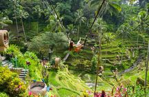 Ubud Full Day Tour with Entry Tickets