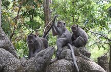 Ubud Full Day Tour with Entry Tickets