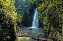 Ubud Full Day Tour with Entry Tickets