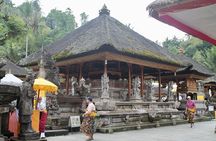 Ubud Full Day Tour with Entry Tickets