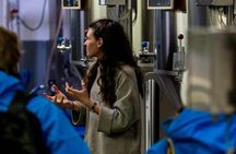 Livigno Brewery Tour and Tasting with an Expert