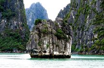 Halong Bay Shore Excursion: Boat Trip to the World Heritage Site