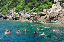 Discovery Cham Island Tour 1 Day From Da Nang & Hoi An