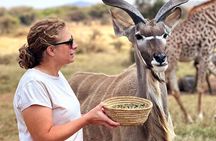 Arusha Serval Wildlife Sanctuary Tour with Pickup