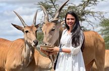 Arusha Serval Wildlife Sanctuary Tour with Pickup