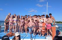 Party Booze Boat Adventure  Marine wildlife Music Drinks Sand