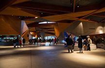 Phillip Island Direct Tour Penguin Parade and Coastal Views