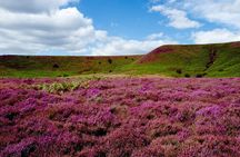 Yorkshire Moors and Whitby Small Group Day Tour from York