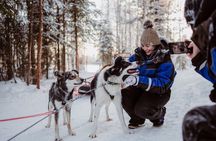 The Husky Forest Escape - 10KM Husky Safari