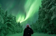 Rovaniemi: Guaranteed Northern Lights - Small Group & Photography