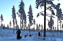 Rovaniemi Husky Safari - Self Drive Adventure 6-10km + BBQ