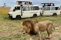 Half Day Nairobi National Park Game Drive tour. 