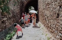 Full Day Tour to Pompeii and Mount Vesuvius from Sorrento