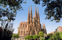 Taste of Barcelona Gourmet Tapas and Wine in the Gothic Quarter