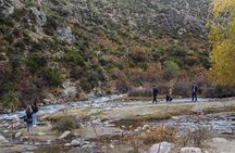 Uco Valley and Cordon del Plata