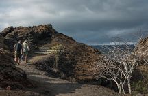 12-Day Peru, Amazon & Galapagos Private Tour