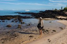 12-Day Peru, Amazon & Galapagos Private Tour