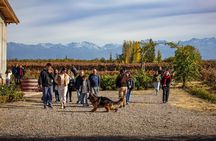 Uco Valley and Cordon del Plata