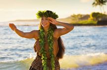 Oahu Circle Island Tour Snorkeling Dole Plantation and More
