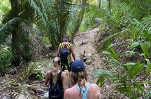 Biocultural Hiking Experience in Sayulita
