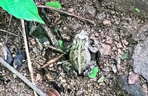 Biocultural Hiking Experience