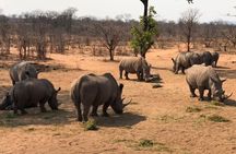 Rhino Game Drive in Mosi-oa-Tunya National Park