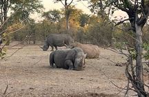 Rhino Game Drive in Mosi-oa-Tunya National Park