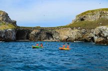 Marietas Islands and Playa Escondida Tour