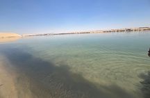Full Day Fayoum Oasis Wadi El Rayan Waterfall and Magic Lake Tour
