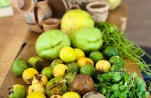 Unique Gastronomic Experience in Monteverde | Forest Flavors