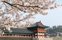 Gyeongju UNESCO World Heritage Guided Day Tour from Busan