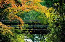 Guide tour of Japanese bathing culture at Kurama onsen