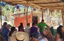 Puerto Vallarta Nature Hike, Beach and Tequila Tasting Experience