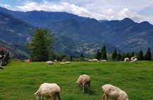 5-day Taiwan Family Fun Private Tour