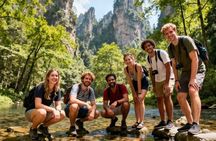 1 Day Avatar Mountain & Fores Park Group Tour with VIP Access