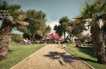 Coast to Country Winery Cycle Tour