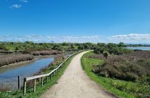 Coast to Country Winery Cycle Tour