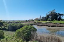 Coast to Country Winery Cycle Tour