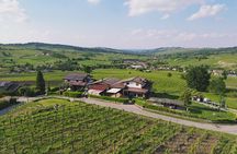 Visit winery and vineyards, tasting 4 wines with 3 matching dishes