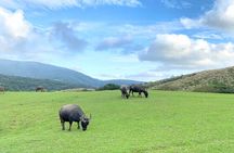 Full-day Tour in Yangmingshan & Beitou from Taipei (Small Group)