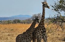 Safari 3days From Zanzibar To Mikumi National Park by ferry