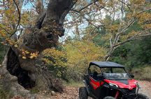 Athens Adventure Tour in Parnitha Mountain with 1000cc Buggy