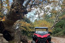 Athens Adventure Tour in Parnitha Mountain with 1000cc Buggy