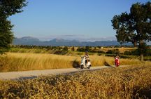 Vespa tour in Montefalco and Tasting in the Cellar or Lunch