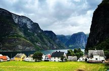 Bergen: Small group tour with Flåm Cruise, Nature Walk, Goat farm