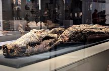 New Grand Egyptian Museum, Pyramids& Sphinx from Hurghada